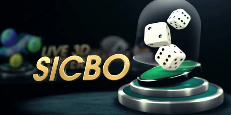 Những loại cược phổ biến trong Sicbo